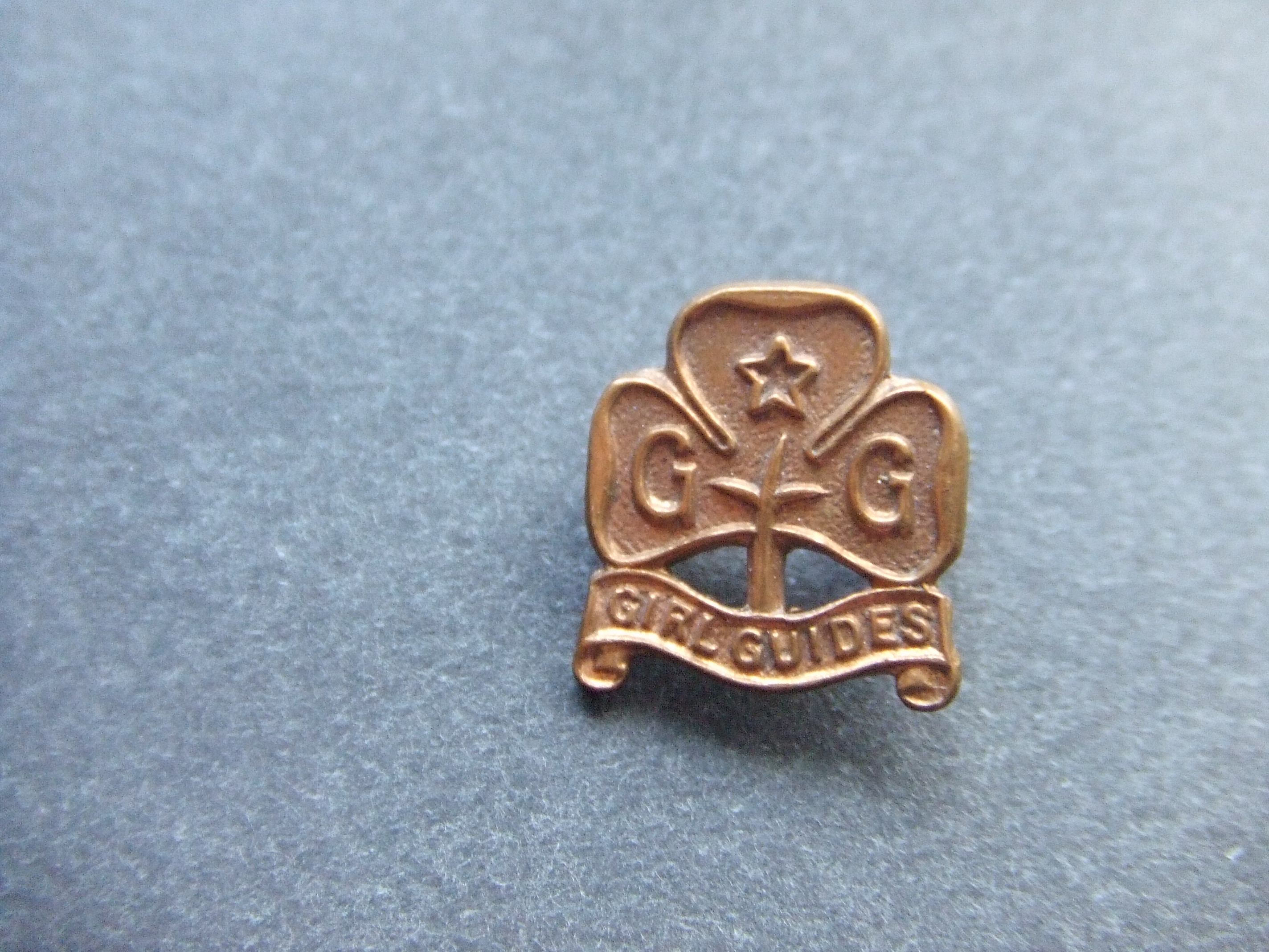 Girl Guides meisjesgidsen en meisjesscouts scoutingbeweging